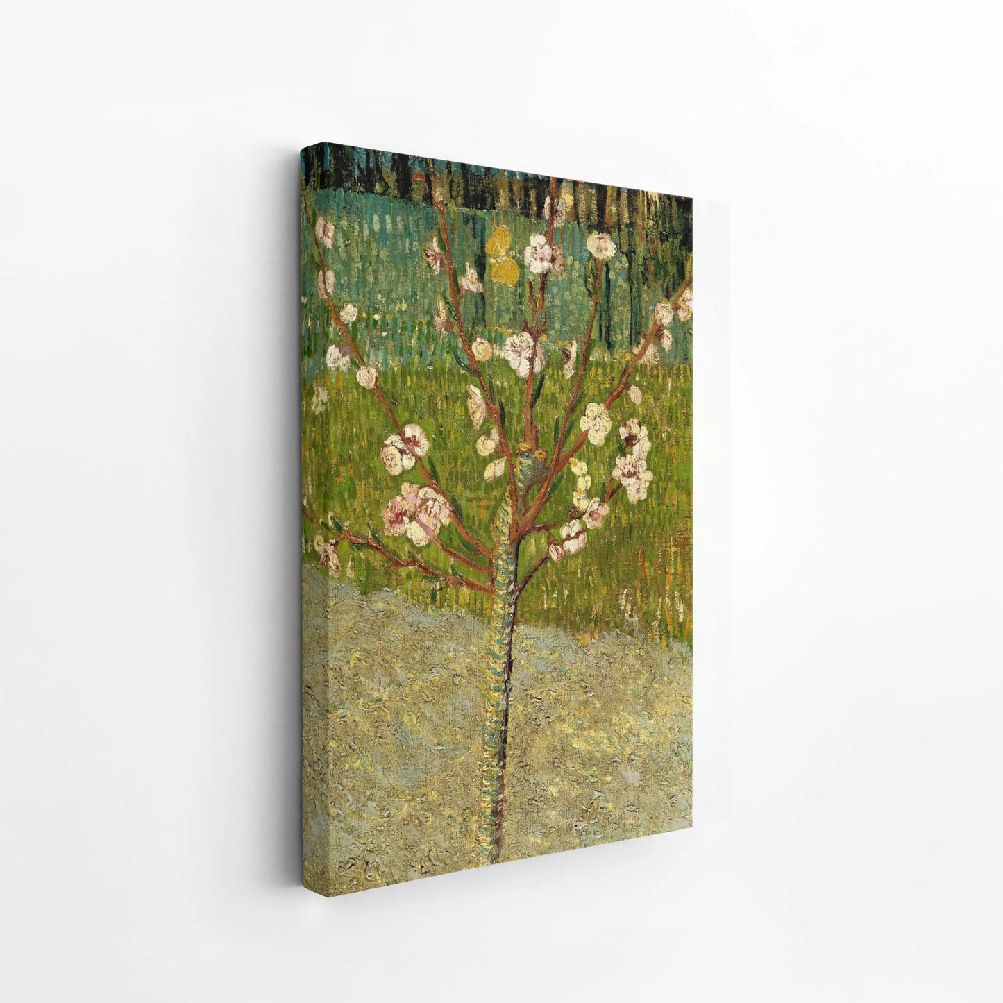 Almond tree in blossom by Vincent Van Gogh
