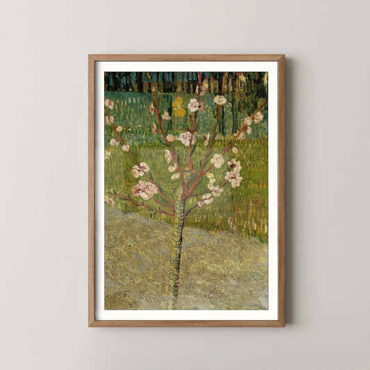 Almond tree in blossom by Vincent Van Gogh