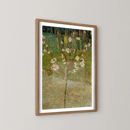 Almond tree in blossom by Vincent Van Gogh