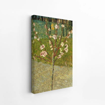Almond tree in blossom by Vincent Van Gogh