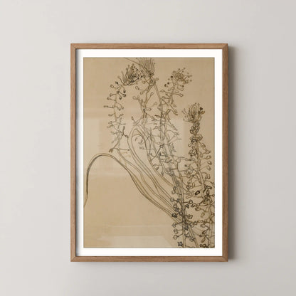 Tassel hyancinth by Vincent Van Gogh (1889)