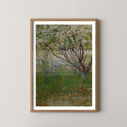 The Flowering Orchard by Vincent Van Gogh (1888)